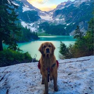 Meet your Posher, Jaymie