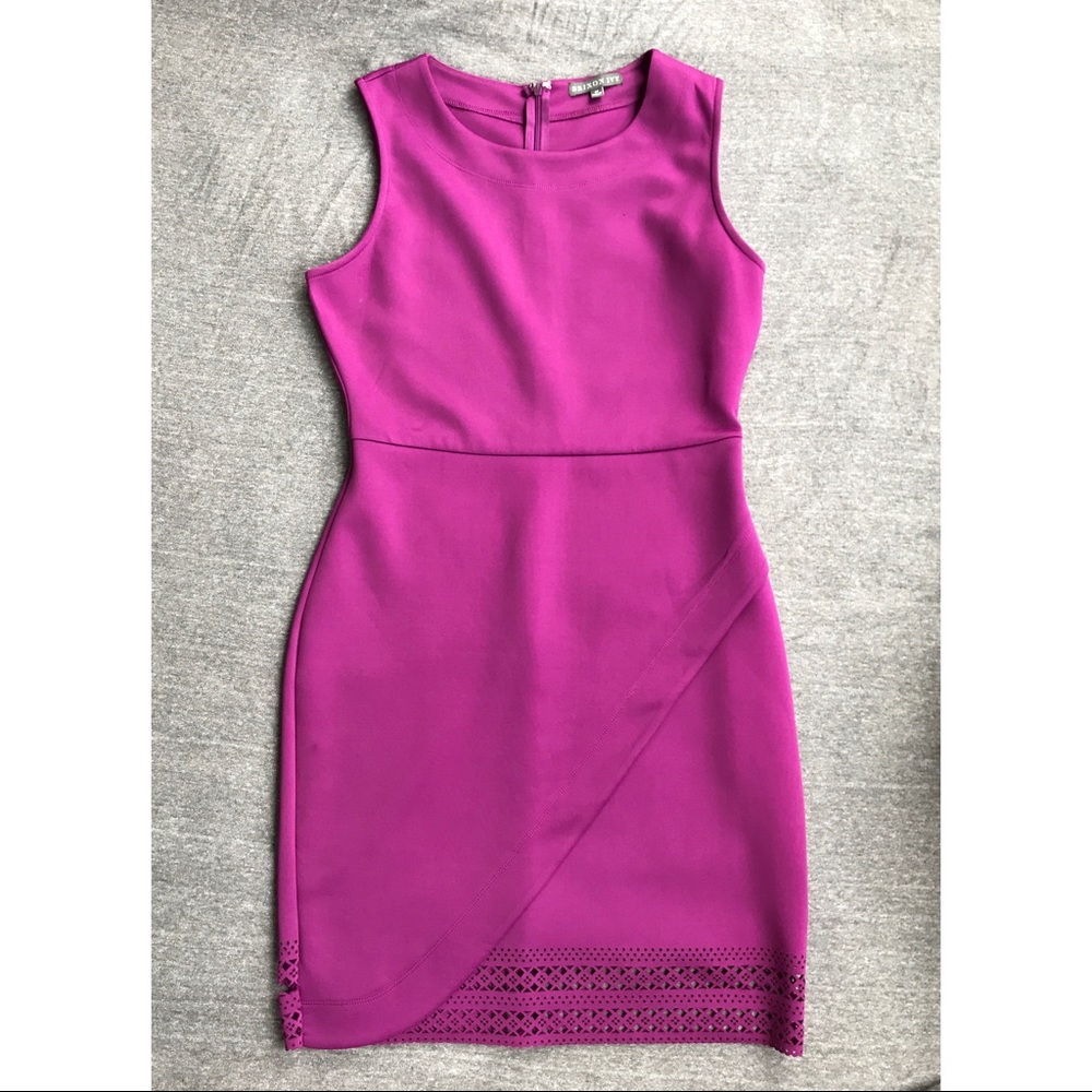 Brixon Ivy Fuscia Dress