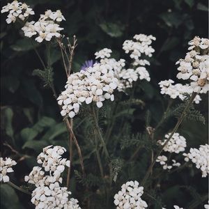 Meet your Posher, Macey