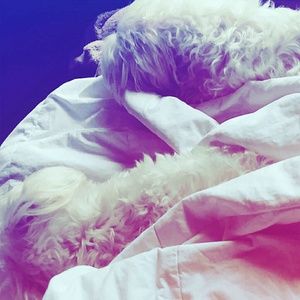 Meet your Posher, Jade