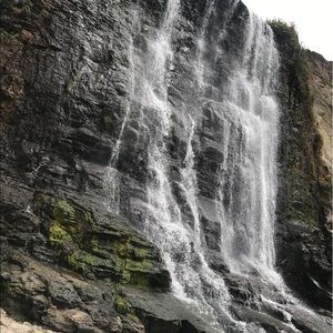 Meet your Posher, Jenn