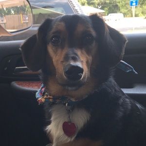 Meet your Posher, Allison