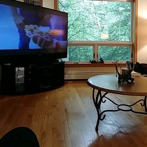 Meet your Posher, Teanna