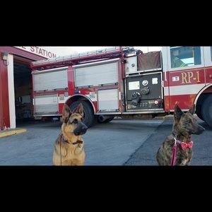 Meet your Posher, Edna