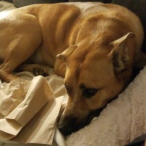 Meet your Posher, Janel