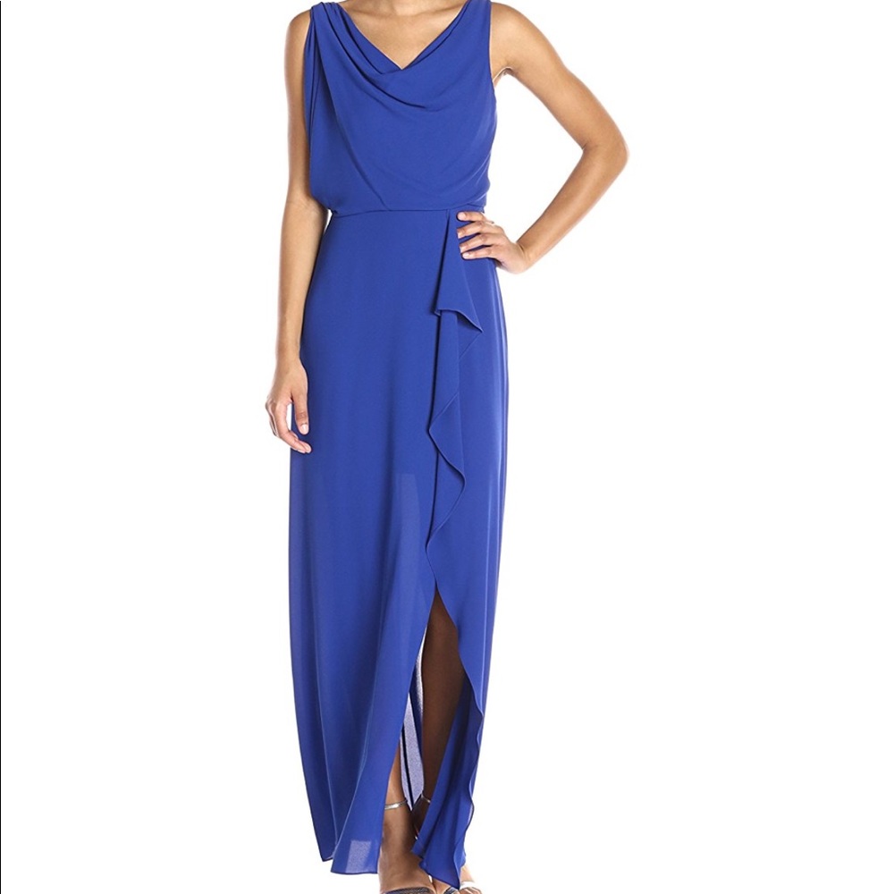 BCBG  Maxazria Sydney cowl neck dress