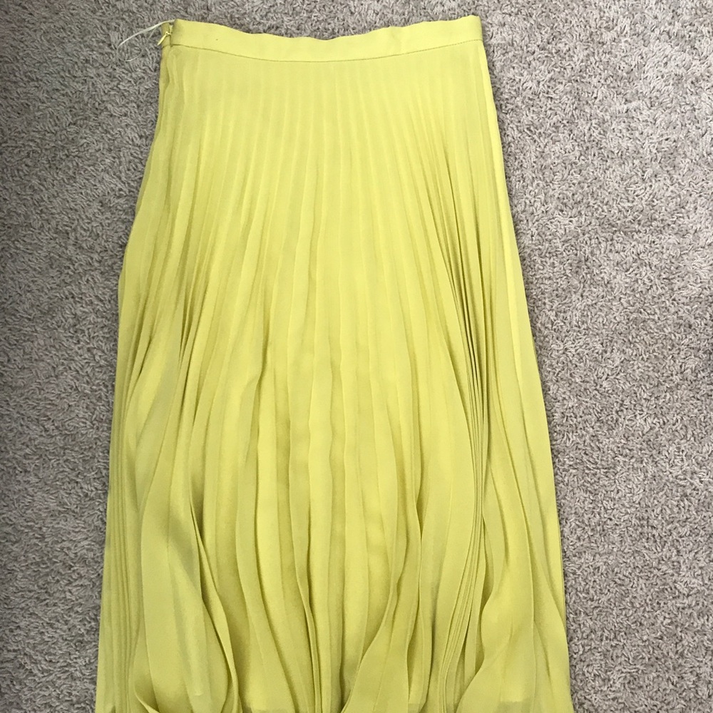 Top Shop Skirt