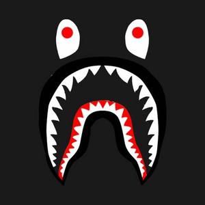 Meet your Posher, Edgar