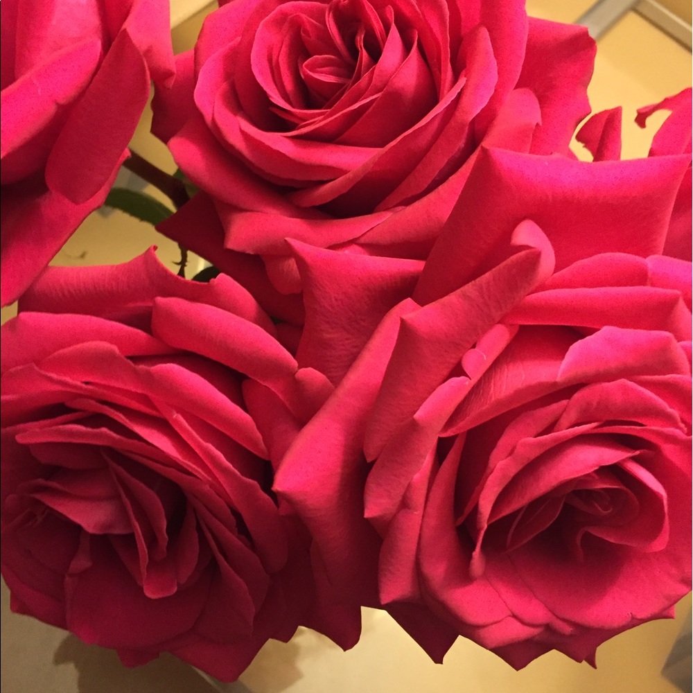 Meet your Posher, Ruby