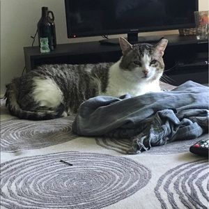 Meet your Posher, Jeanette