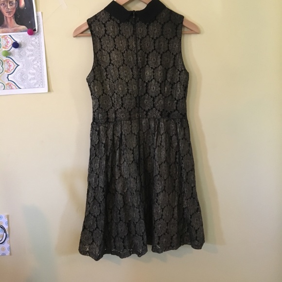 ASOS The Style Gold and Black Lace Collared Dress - Picture 2 of 4