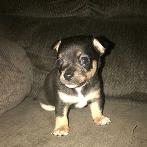 Meet your Posher, Joann