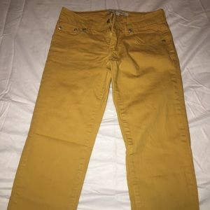 Ankle Pants
