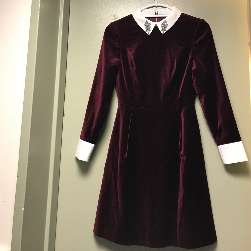 Ted Baker Dress (Never worn)
