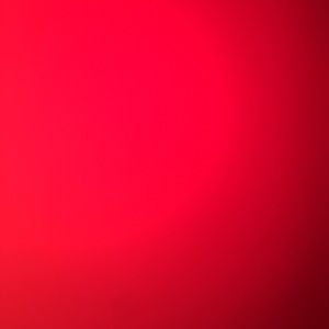 Meet your Posher, Dante