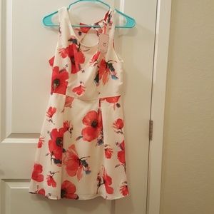 Modcloth Cream and Pink Dress