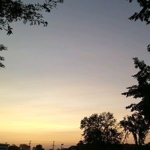 Meet your Posher, Claire