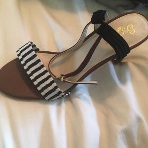 Seychelles striped pump