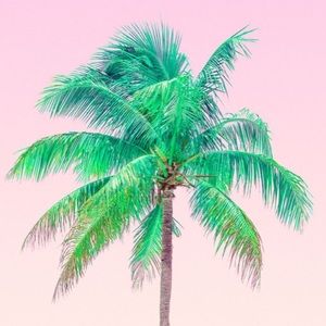 Meet your Posher, Marie