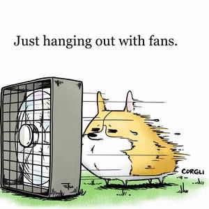 Meet your Posher, Maxine