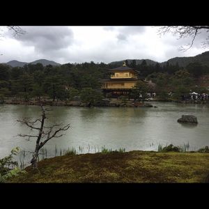 Meet your Posher, Setita