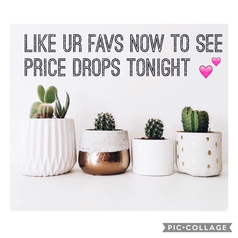 💕💕💕