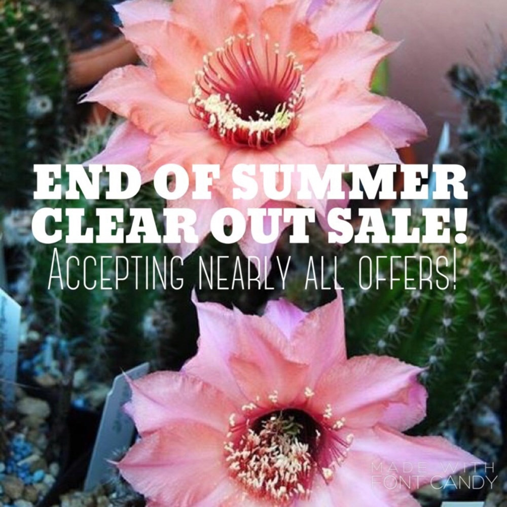 BOOM. The clear out is real! End of Summer sale 🔥