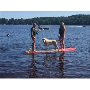 Meet your Posher, Molly