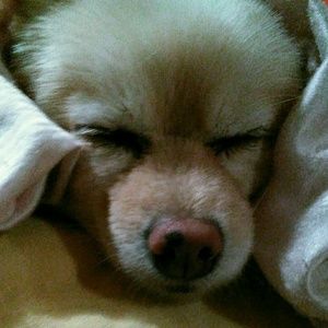 Meet your Posher, Cathryn