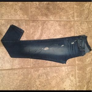 Flying Monkey Distressed Skinny Jean