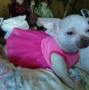 Meet your Posher, Staci