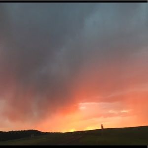 Meet your Posher, Lydiah