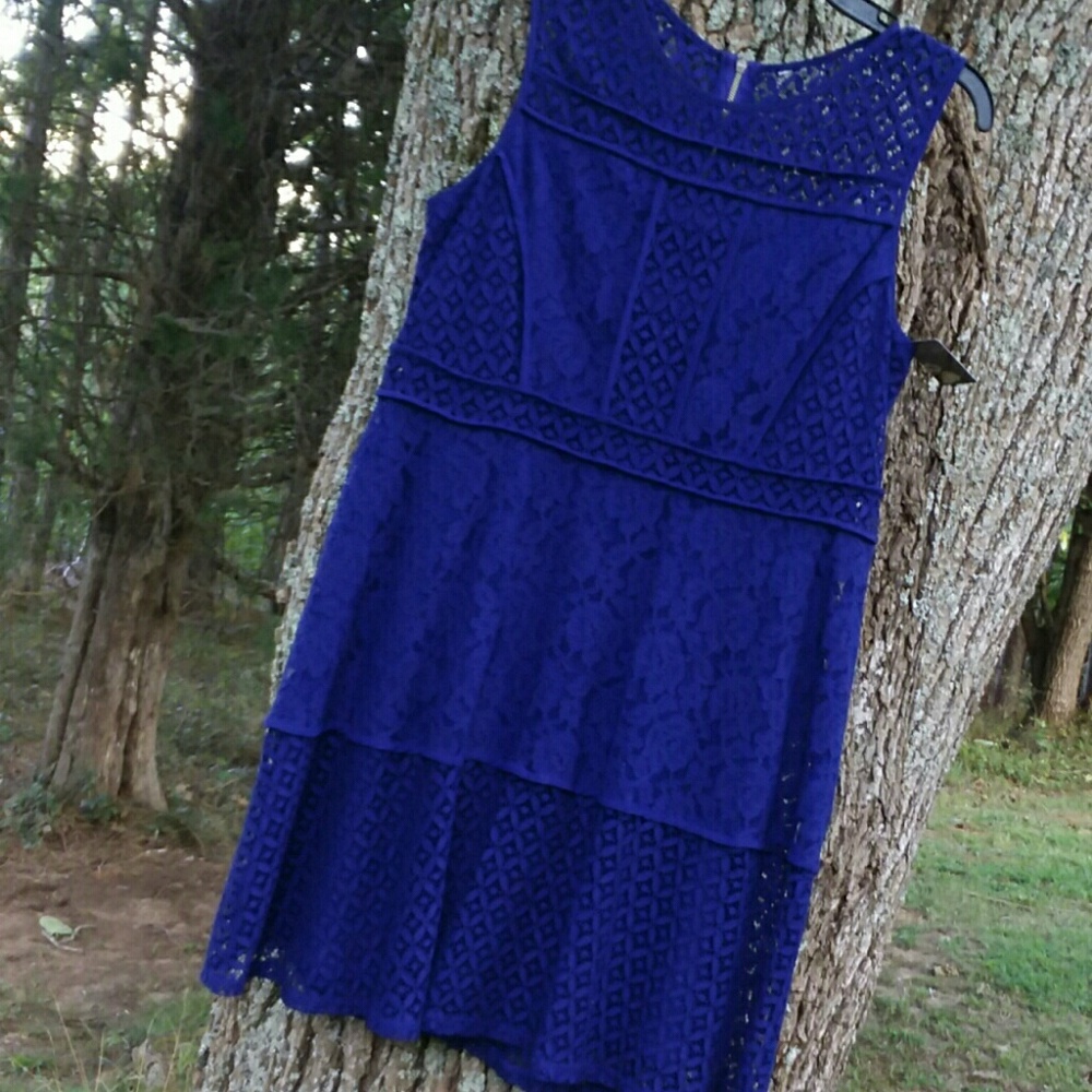 💙NWT Cobalt Blue Lace Overlay Fit and Flare Dress