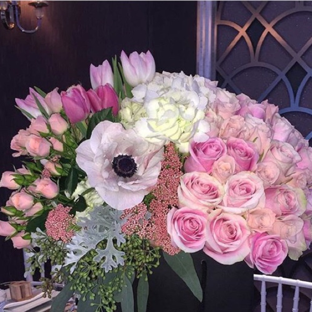 Meet your Posher, Tina