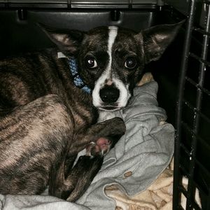 Meet your Posher, Jamyah