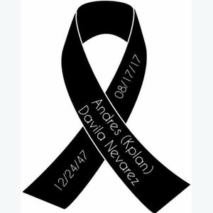 Meet your Posher, Elssie