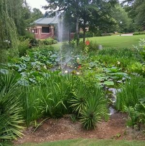 Meet your Posher, Teresa