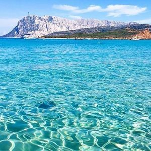 Meet your Posher, Ida