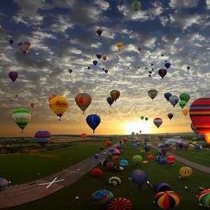 Meet your Posher, Halona