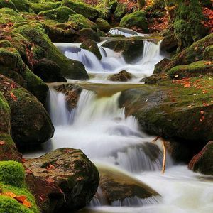 Meet your Posher, Viola