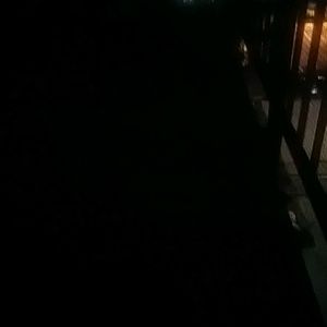 Meet your Posher, Shayna