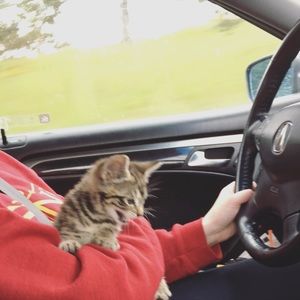 Meet your Posher, Angel