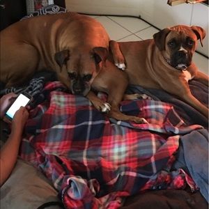 Meet your Posher, Kara