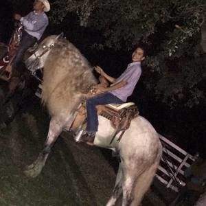 Meet your Posher, Tomas