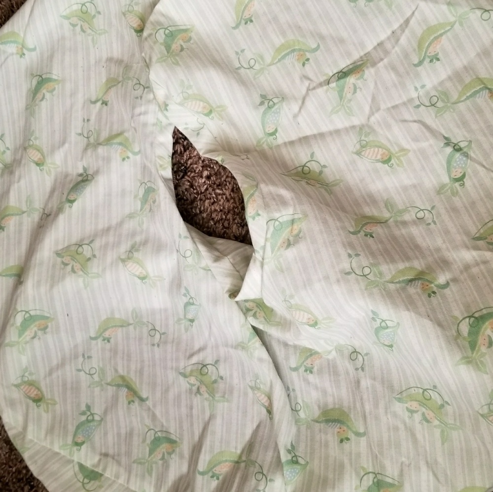 Sweet pea Boppy Cover