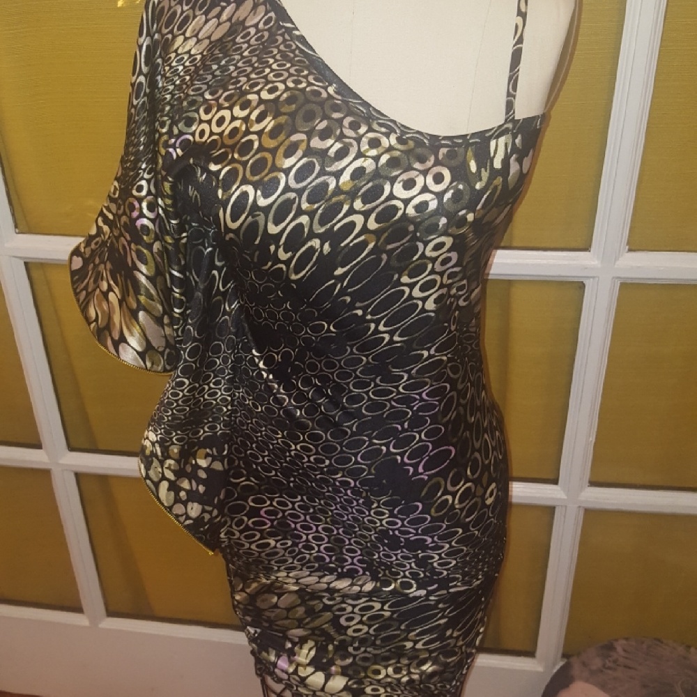 Fancy fitted dress w/ creative sleeve detail