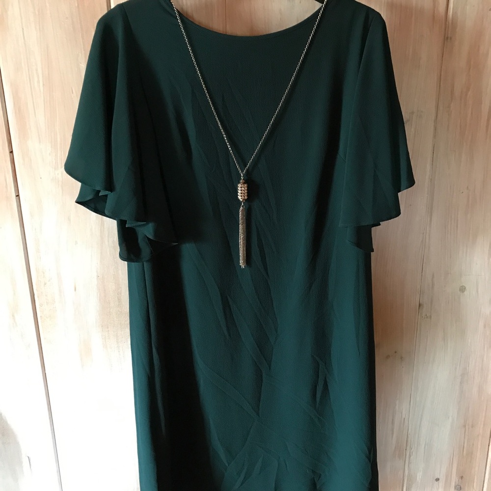 Medium/large dark tealish green