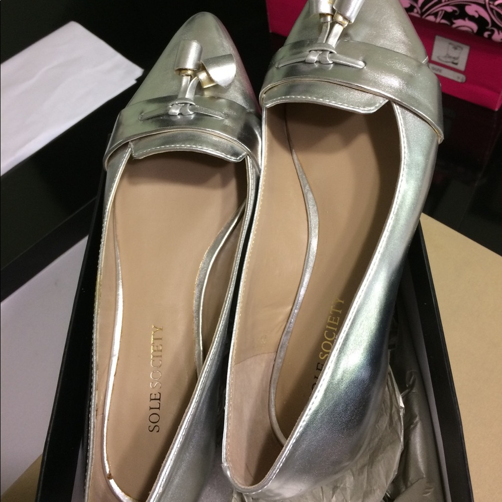 *Like New* Metallic silver pointy flats