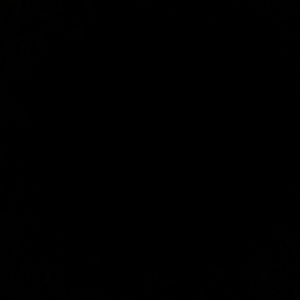 Meet your Posher, Joy