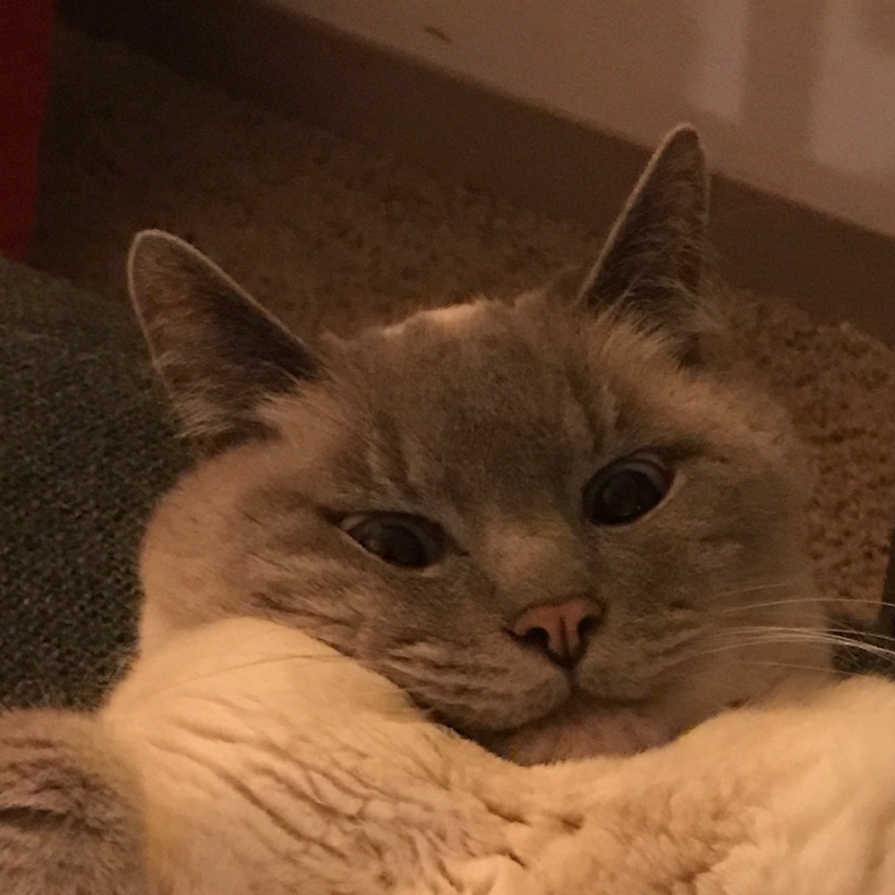 Meet your Posher, Andy